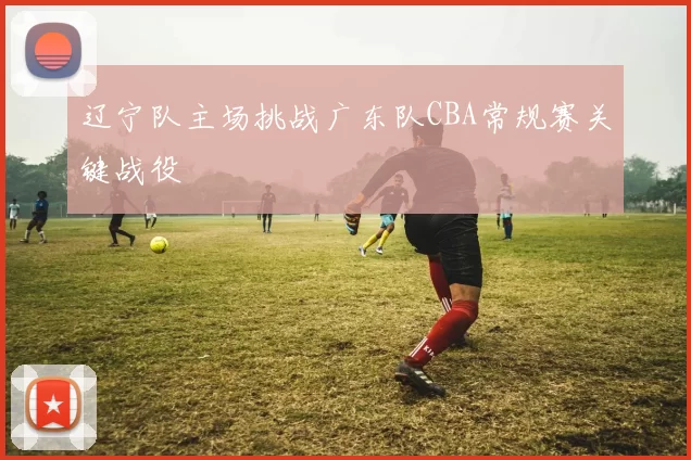 辽宁队主场挑战广东队CBA常规赛关键战役